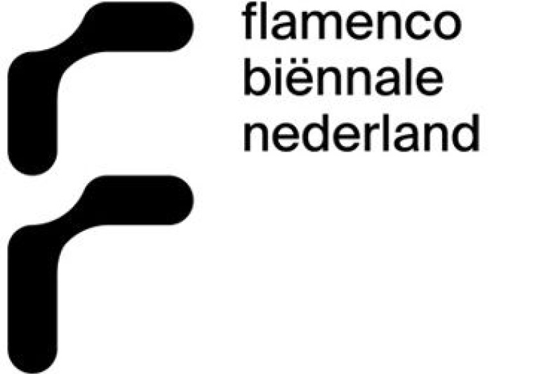 Flamenco Biennale logo 3.jpg